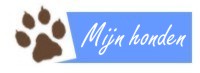 Mijn honden